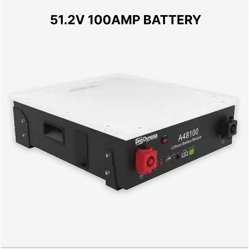 Dyness Lithium Battery 51.2V 100Amp 8000 Lifecycle